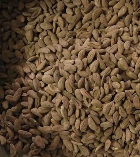 Mamra Almond