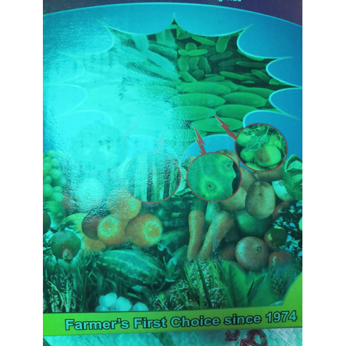 Tomato Seeds