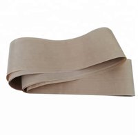 Ptfe Seamless Belt