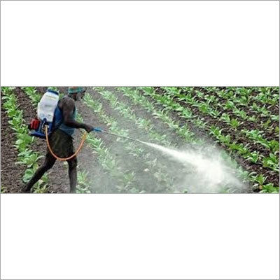 Organic Insecticides