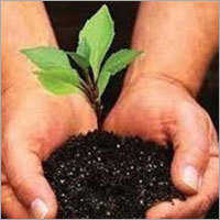 Soil Conditioner Fertilizer