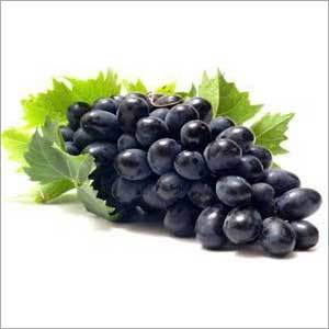 Black Grapes Shelf Life: 4-6 Days