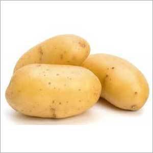 Potato Shelf Life: 10-12 Days