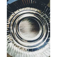 Silver Paper Plate