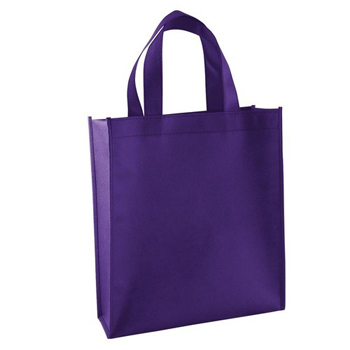 Non Woven Shopping Bag
