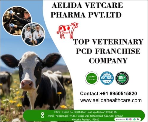 Veterinary Pcd Franchise Company In Chandigarh Generic Drugs