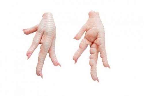 Halal Quality Frozen Chicken Paws