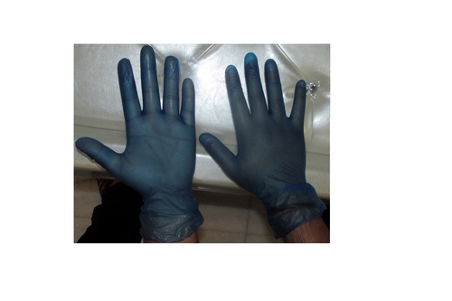 Blue Gloves Powder Free