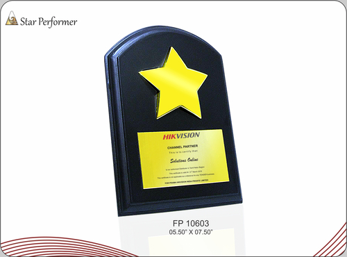 STAR PERFORMER