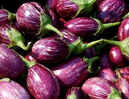 Brinjal