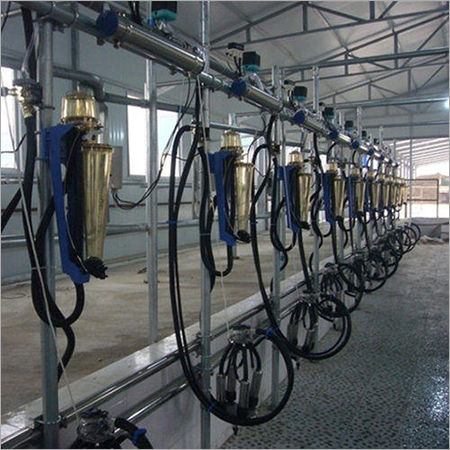 Single Side Milking Parlour Goat