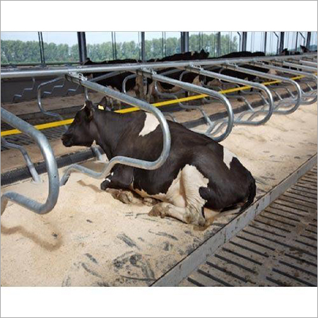 Adjustable Cow Cubicles
