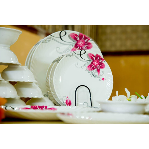 Dinner Plates Set With Bowl