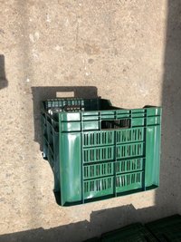 Capsicum Plastic Crates
