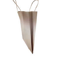 Paper Hand Bags