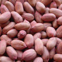 Peanuts Kernels