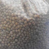 Pigeon Peas