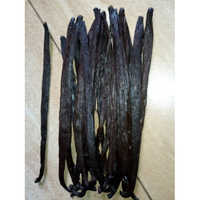 Vanilla Beans
