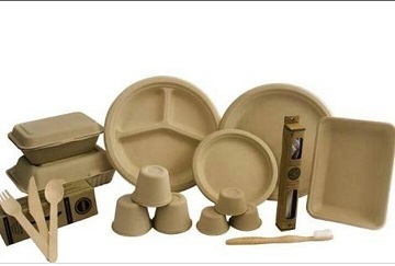 Areca Leaf Plates