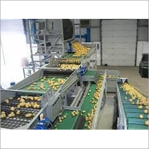 Horizontal Conveyor Belts