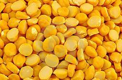 Gram Pulse Chana Gram Pulse Chana