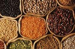 Indian Grains Indian Grains