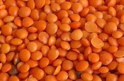 Masoor Dal Red Lentil