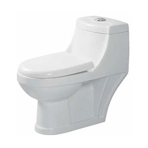 Sanitary Toilet Seat