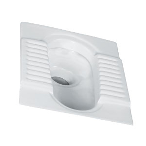 Indian Toilet Seat