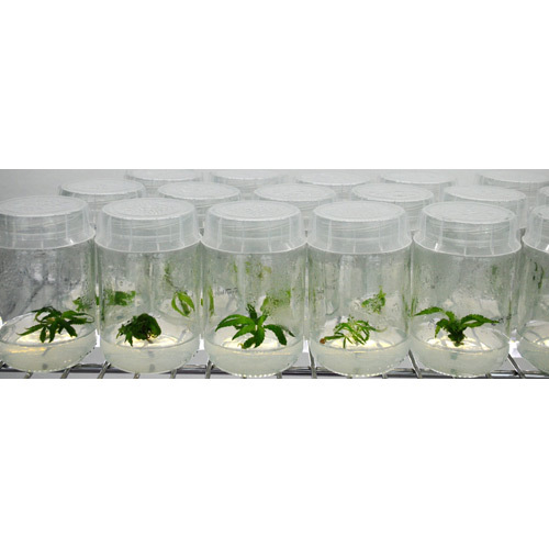 Testing Jars