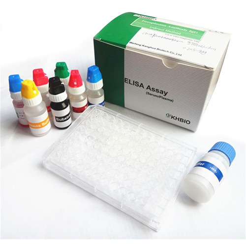 Enzyme Test Kits