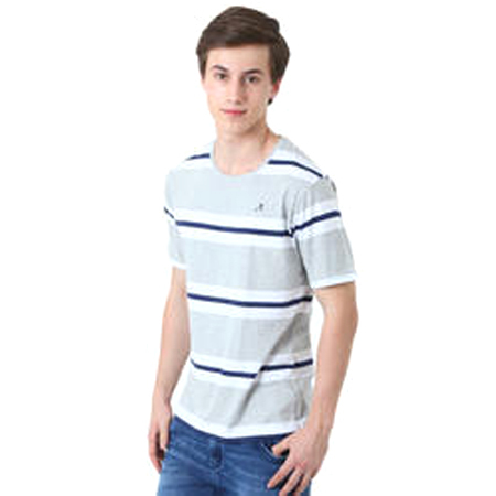 Men Half Sleeve Round Neck Striped T Shirt