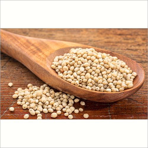 Jowar Seeds