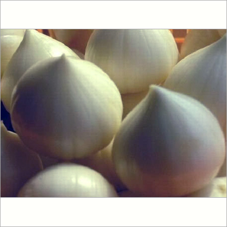 Single Clove Garlic