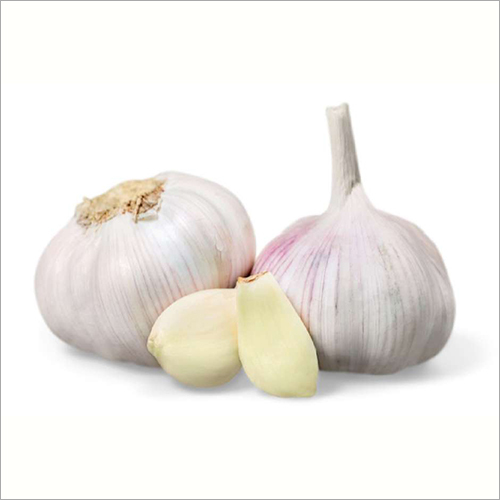 Fresh Garlic