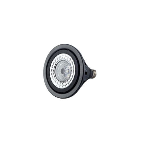 15Watt LED PAR Lamps