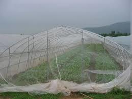 Insect nets