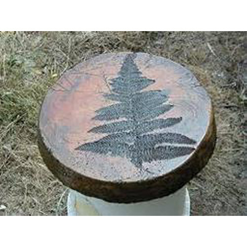 Turtle Stepping Stones