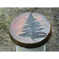 Turtle Stepping Stones