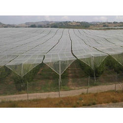 Anti Hail Insect Net By AMIT AGROPLAST