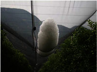 Poly Woven Anti Hail Nets