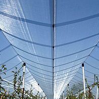 Insect-Proof Nets And Anti-Hail Nets
