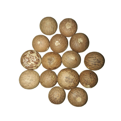 Betel Nut
