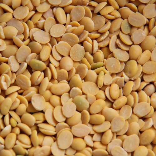 Arhar Daal - Organic Splited Chickpeas, Yellow Color | Regular Arhal Dal