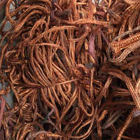Lal Jali Scrap / Armoured Lal Jali Scrap / Armoured