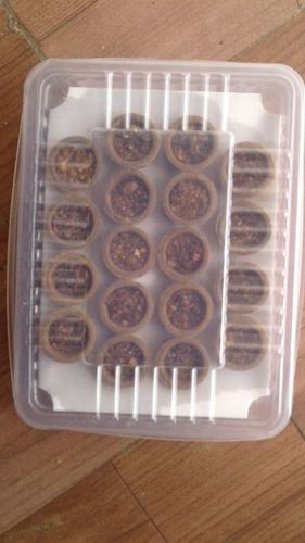 Hawan Samagri Cups