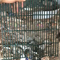 Welded Mesh Panel