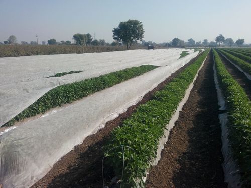 Crop Cover For Avoid Environmental Problem