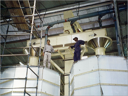 Tea Blending Plant
