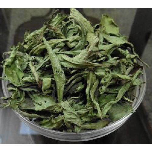 Stevia Dry Leaves Stevia Dry Leaves